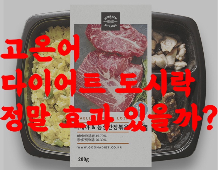  저탄고지 다이어트 식단 고온어 도시락 시즌3, 4 후기, 효과, 부작용, 구성, 추천 등 투명한 정보 전격 해부