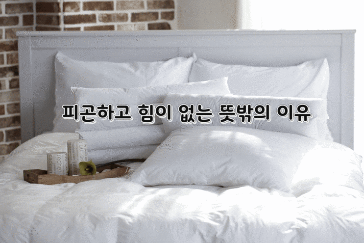피곤하고 힘이 없는 뜻밖의 이유 피곤하고 힘이 없는 뜻밖의 이유