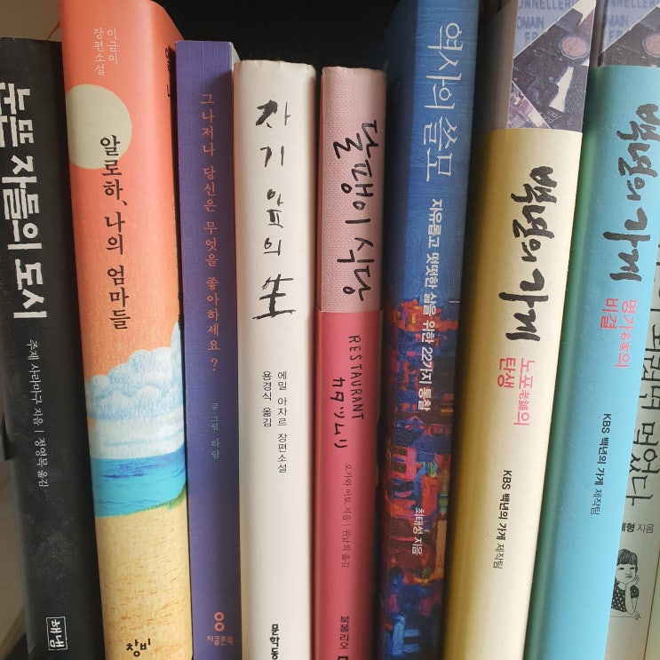 마음이 근사해지는 책 추천 3 / #썸머힐링북 마음이 근사해지는 책 추천 3 / #썸머힐링북