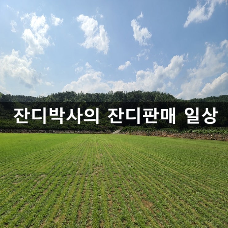 잔디박사의 잔디판매 일상