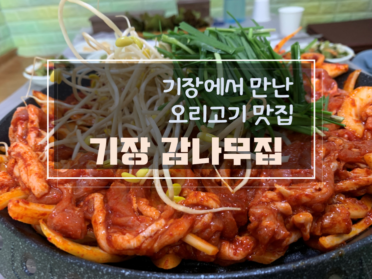  기장군 오리불고기맛집 감나무집