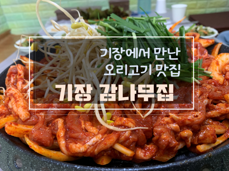 기장군 오리불고기맛집 감나무집