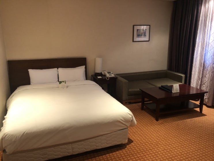  [Prima Hotel] 프리마 호텔 / 이런 조식 처음이예요