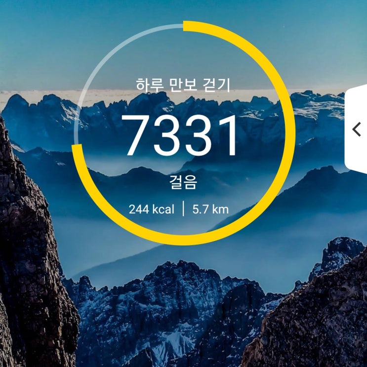  [건강프로젝트] 97일차 6000보 이상 걷기 성공