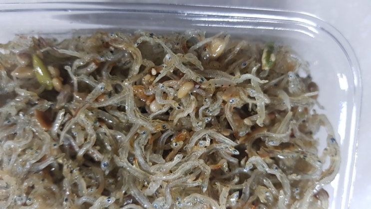 [ 아빠가 만든 반찬 ]  곰손 아빠도  만들 수 있는 마른 반찬 2종 세트는??   멸치볶음 / 진미채볶음