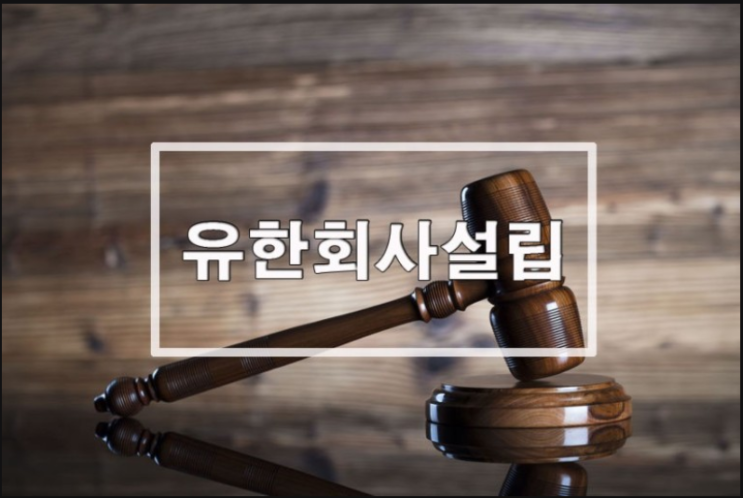  유한회사 설립준비. 주식회사와 비교하기