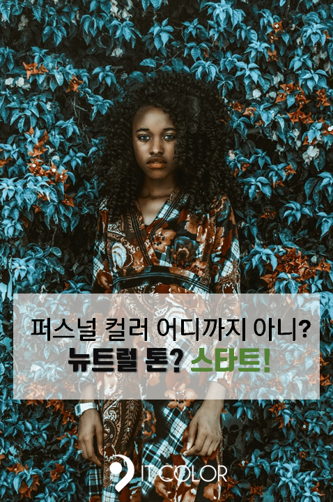 퍼스널컬러는 자연의 섭리!  뉴트럴톤 에 대하여..个人色彩是自然法则! 关于中性色调