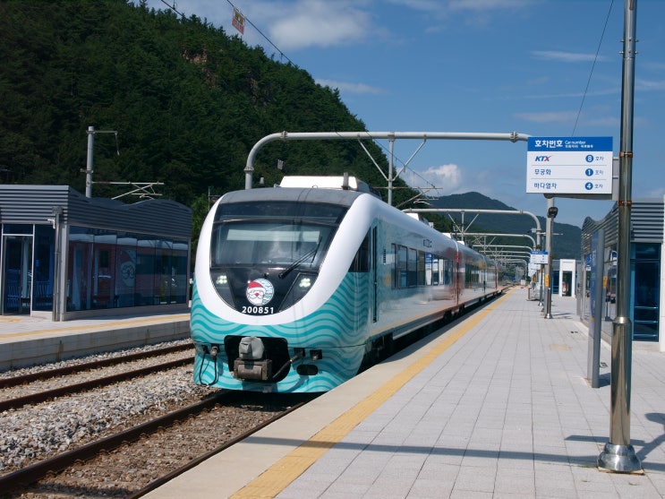  (2020년 8월 동해산타열차) #3 본격! 동해산타열차 분석!