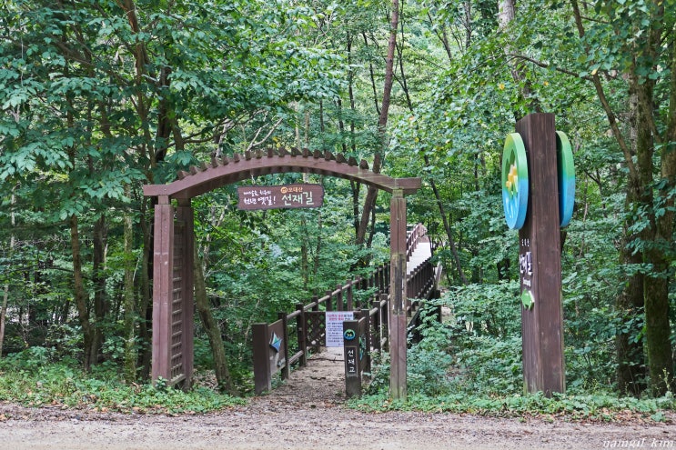 평창 걷기좋은 길, 오대산 선재길 걷기 평창 걷기좋은 길, 오대산 선재길 걷기