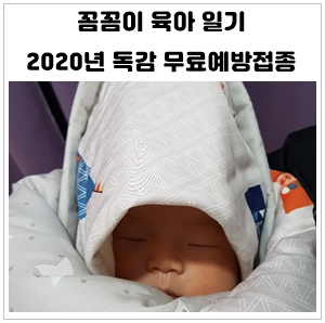  2020년 독감(인플루엔자) 무료예방접종 시기와 대상자