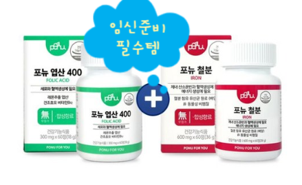 임산부에게 꼭 필요한 포뉴엽산 철분 세트가 필요한 이유?