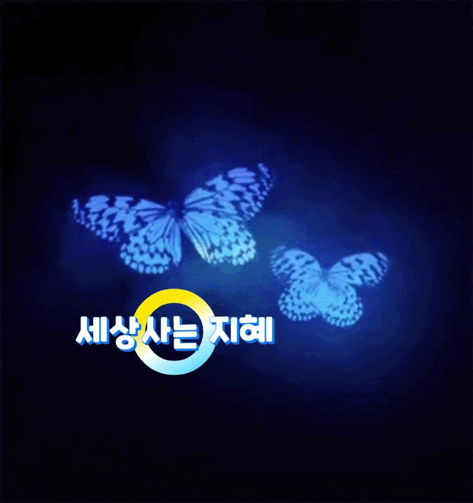 세상사는 지혜