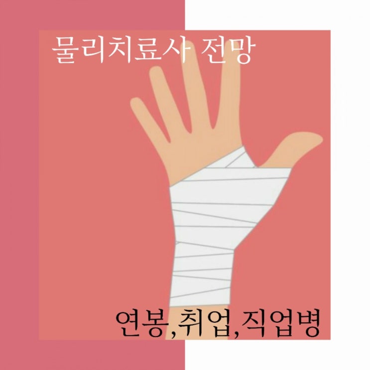  물리치료사 전망-연봉,취업,직업병