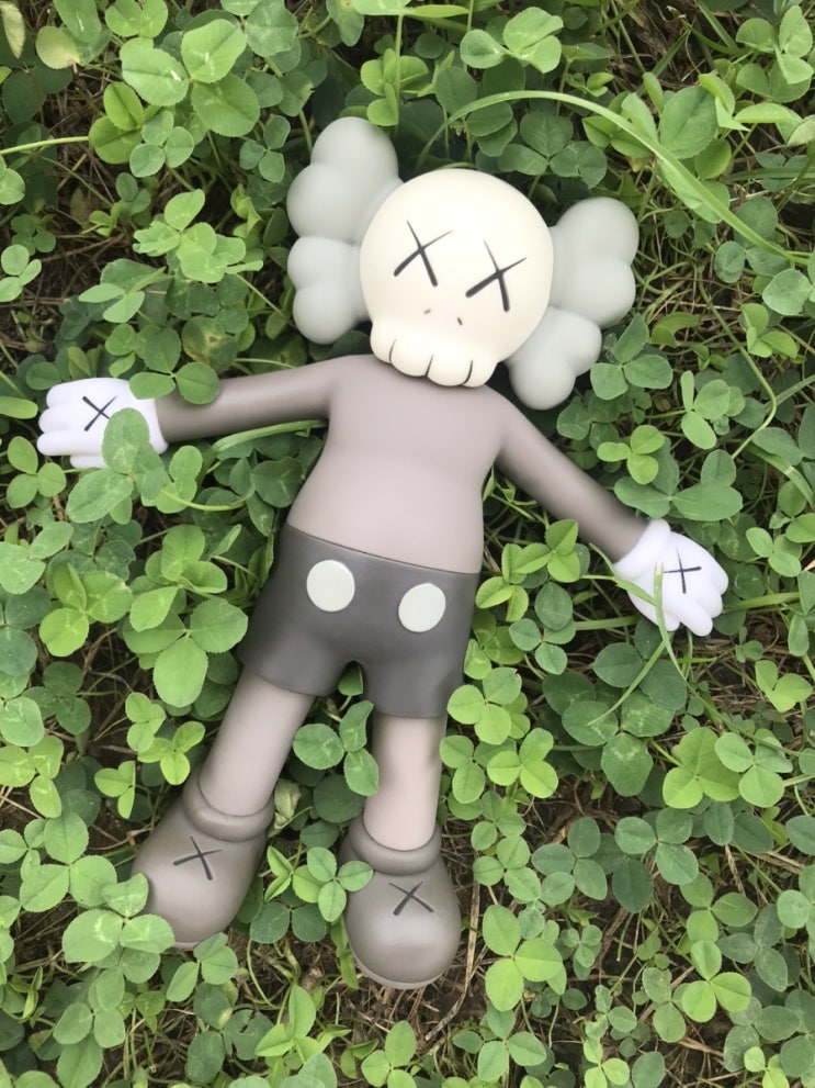 KAWS holiday in 대전 KAWS holiday in 대전