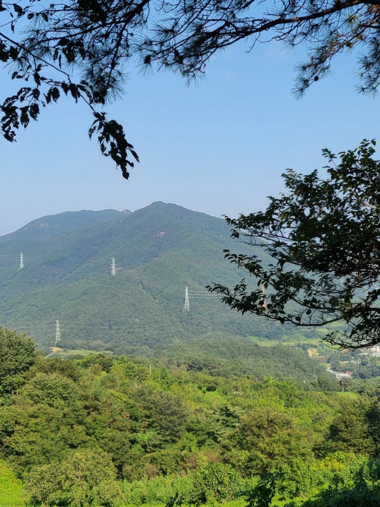 김제 가볼만한곳, 모악산 도립공원의 모악산 마실길(닭지붕~ 백운정~연리지)을 걷다.
