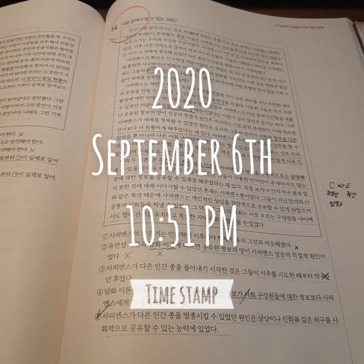  [코레일 필기] D-41
