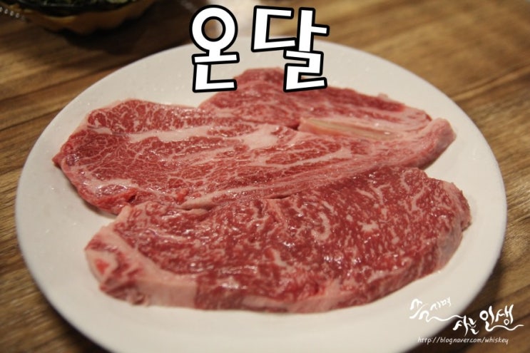  [모란역맛집] 모란역소고기 맛나는 온달
