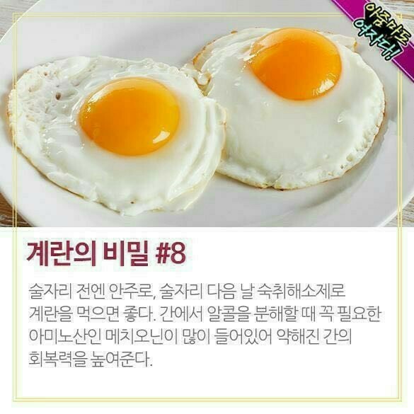  꿀팁정보 - "우리 식탁에 자주 오르는 계란!"