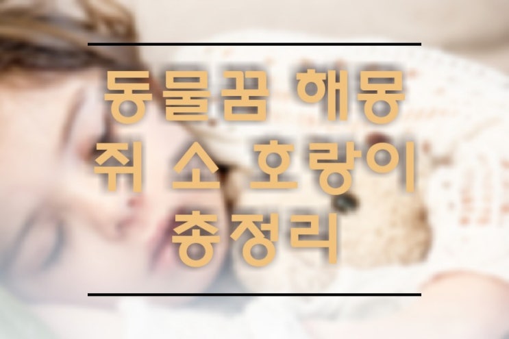  동물꿈 쥐잡는 꿈 소꿈해몽 호랑이나오는꿈 총정리해드려요