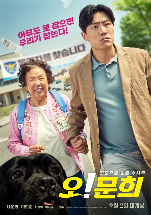 단서 없는 뺑소니 사건, 치매 할머니가 유일한 목격자라면 단서 없는 뺑소니 사건, 치매 할머니가 유일한 목격자라면