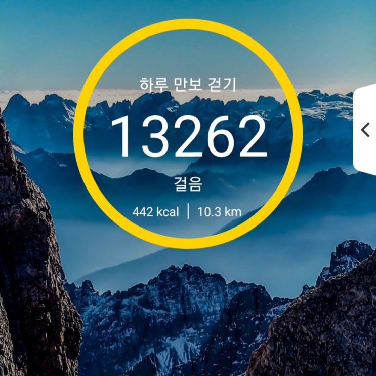  [건강프로젝트] 98일차 6000보 이상 걷기 성공
