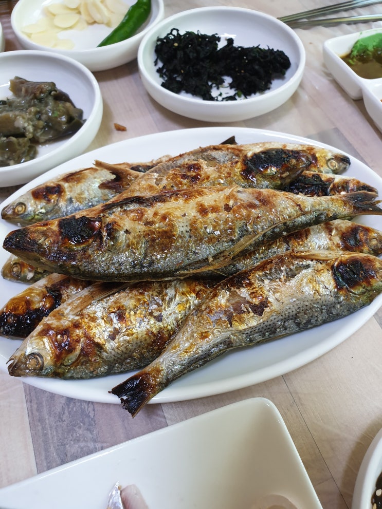  [무안, 청계맛집] 복길선창가횟집 (가을전어 먹방기)