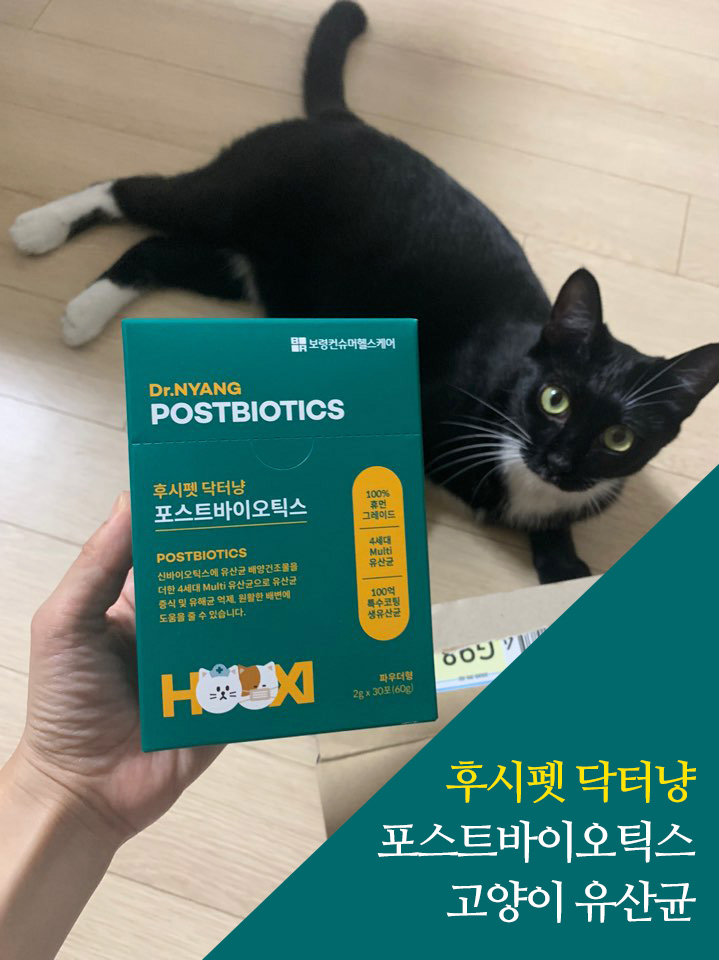  후시펫 닥터냥포스트바이오틱스, 고양이유산균으로 고양이면역력 UP