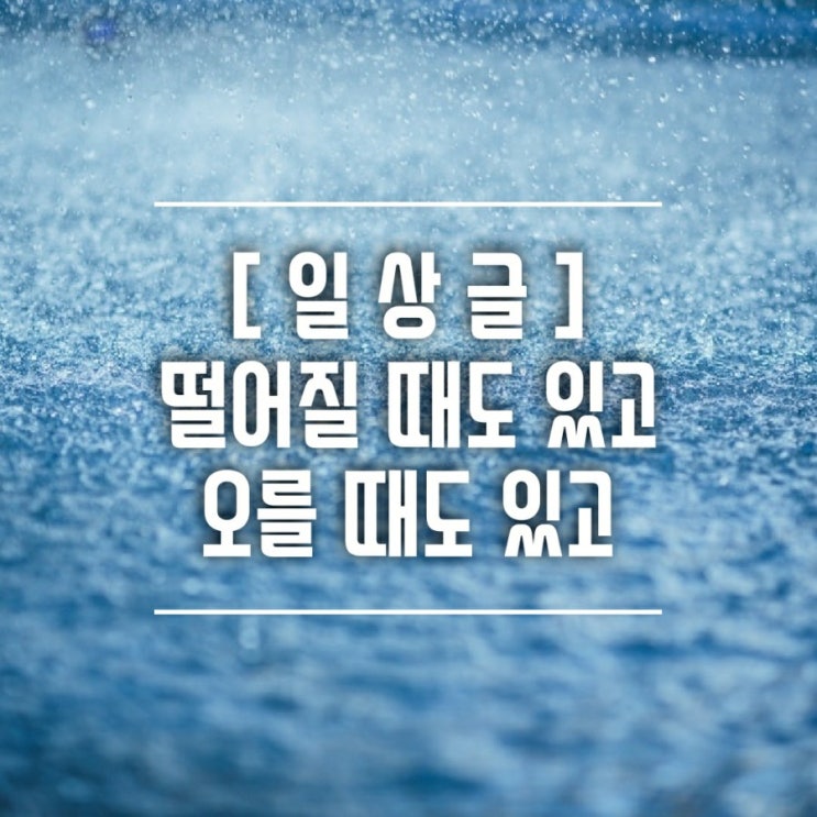  [일상] 돈은 조금 손해보고있지만 즐거운 주말 보내고 왔어요