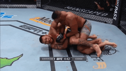 UFC 베가스 9: 오브레임 vs 사카이 리뷰(피니쉬 움짤(GIF))
