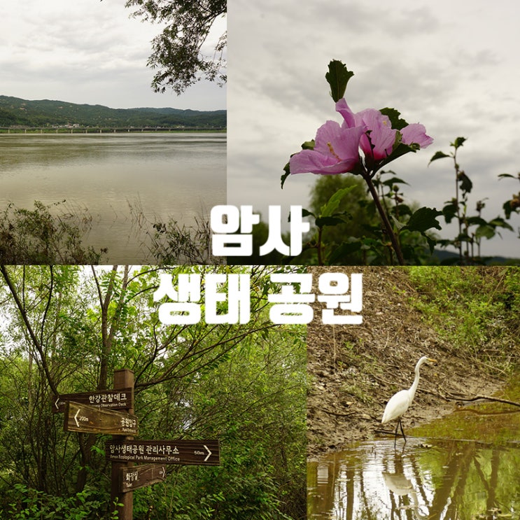  한강 산책코스 암사생태공원 주말 야외데이트 :)