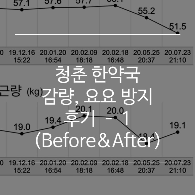  [후기] 청춘 한약국 요요방지까지 세달 후기 - 1 (비포애프터)