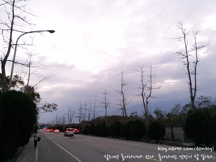  [화롄(Hualien)] 치싱탄(七星潭, 칠성담) 2/2 - 치싱탄 가쓰오 박물관, 걸어서 화롄까지