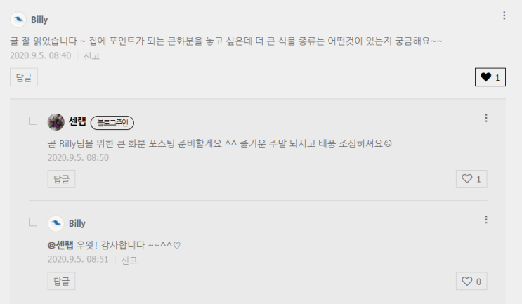  [이웃님들께] 센랩→다정한 꽃감, 닉네임을 바꿨어요.