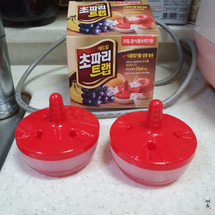 다이소 날파리 트랩, 이틀동안 초파리 잡은 후기! (+ 위치)