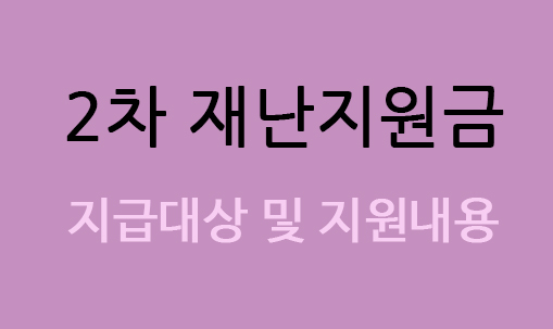  2차 재난지원금 선별 지급