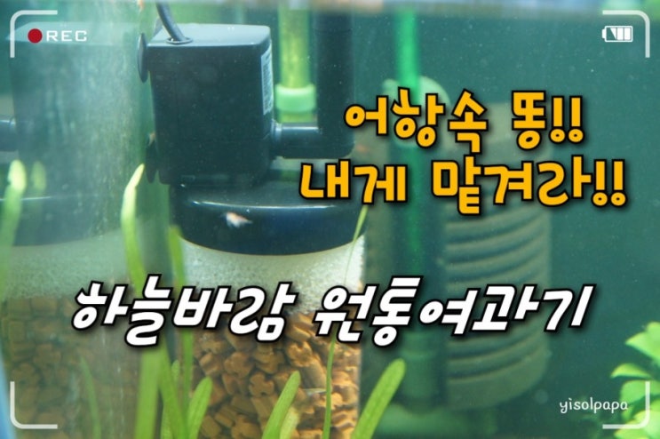  어항의 분진, 똥을 없애주고 물을 깨끗하게 해주는 하늘바람 원통여과기 설치