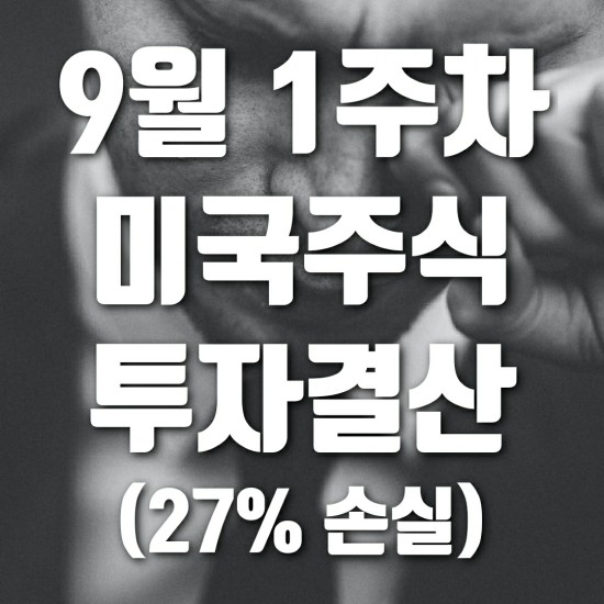  9월1주차 미국 주식 투자 결산 (2틀동안 27% 손실)