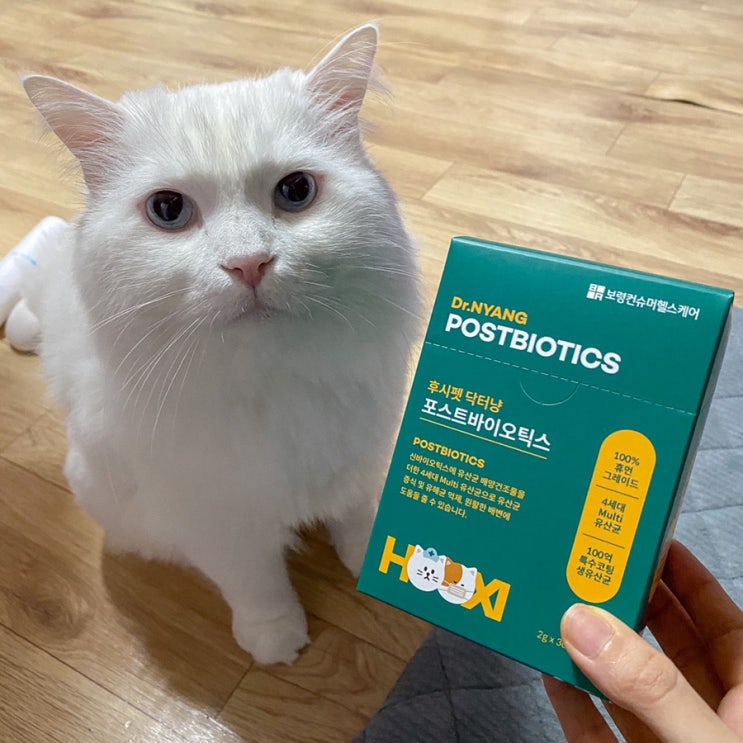 후시펫 닥터냥포스트바이오틱스 | 고양이유산균 추천!