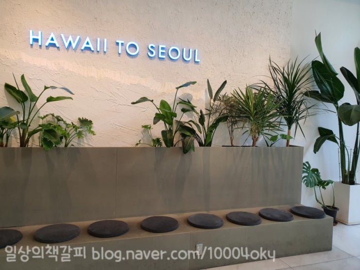  커피와 색감이 맛있는 <루프트 커피 광화문점>