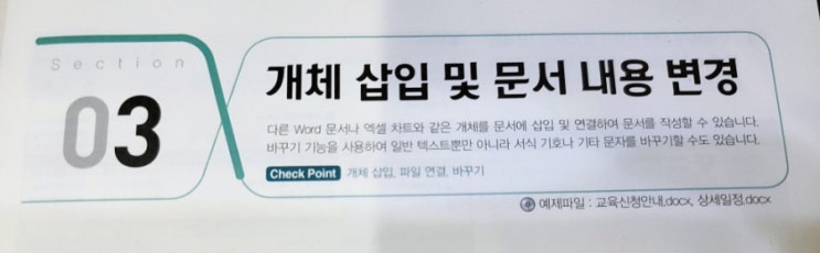  멘토 모스 워드 - 개체 삽입 및 문서 내용 변경 (1)