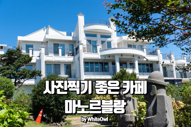  제주도 서귀포 카페추천 마노르블랑 유럽 수국과 핑크뮬리 정원 돌아보기