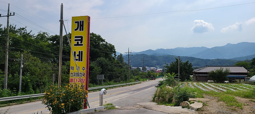 개코네 사진 1