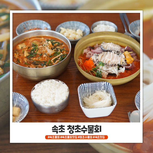 속초 청초수물회 로봇이 서빙해서 신기해요. 속초 청초수물회 로봇이 서빙해서 신기해요.
