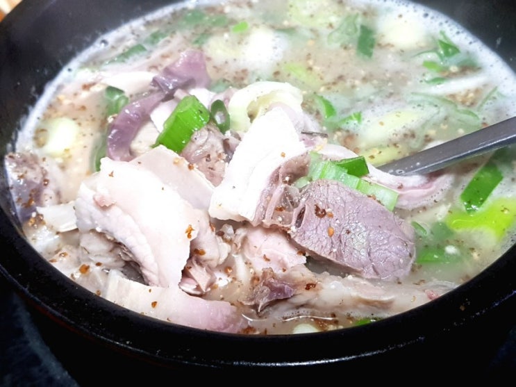  세종 조치원 착한 순대국밥 맛집 고향순대