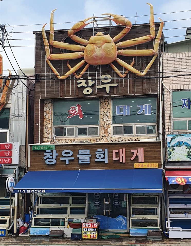 포항 남구 구룡포 물회 솔직한 후기"창우물회"