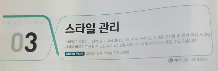  멘토 모스 워드 - 스타일 관리 (1)