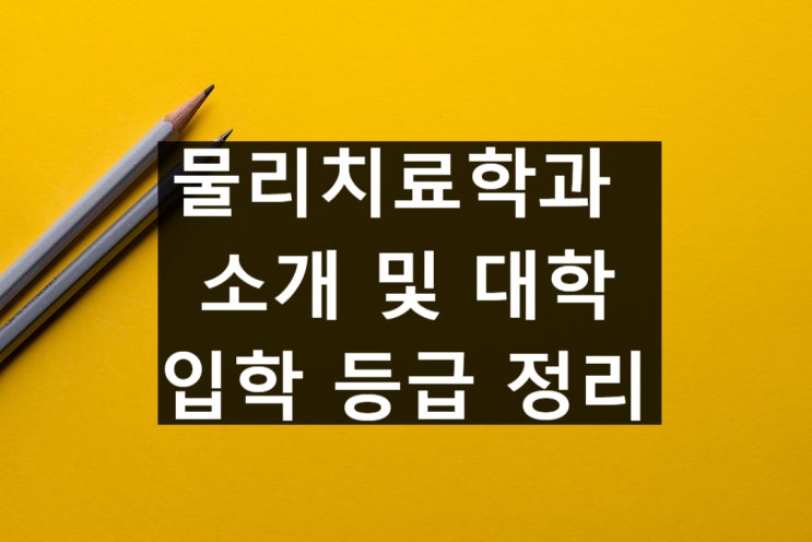  물리치료학과 소개 및 대학, 등급 정리