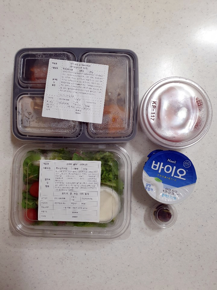  다이어트 도시락 채식단 추천 간편한 식단관리 대박
