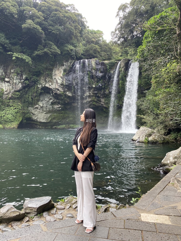 [제주도 가볼만한 곳/ 제주도 명소] 서귀포 천지연폭포