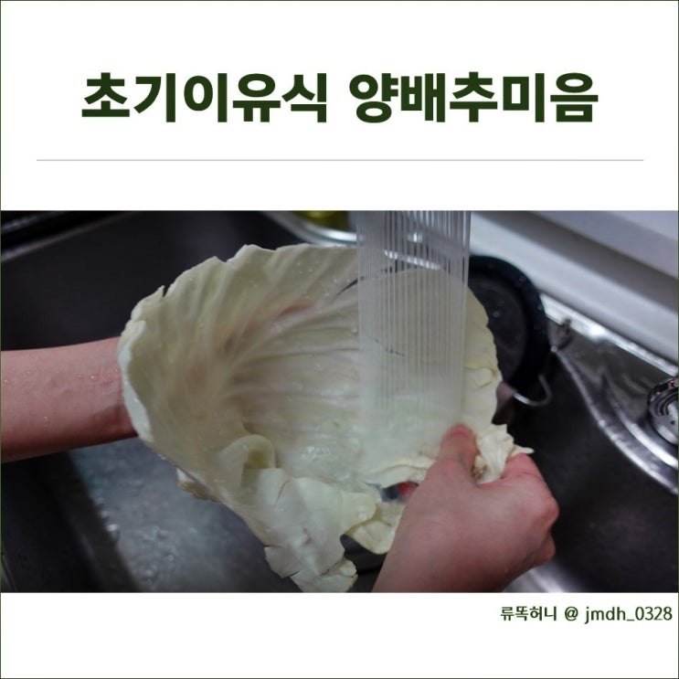  초기이유식 : 양배추미음 만들기 (우리 아가 변비예방에 도움)